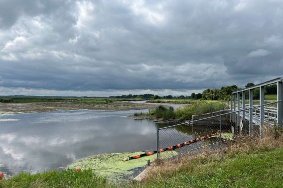 A metal dam sits at the edge of a large wetland area beneath a sky of dark gray clouds.