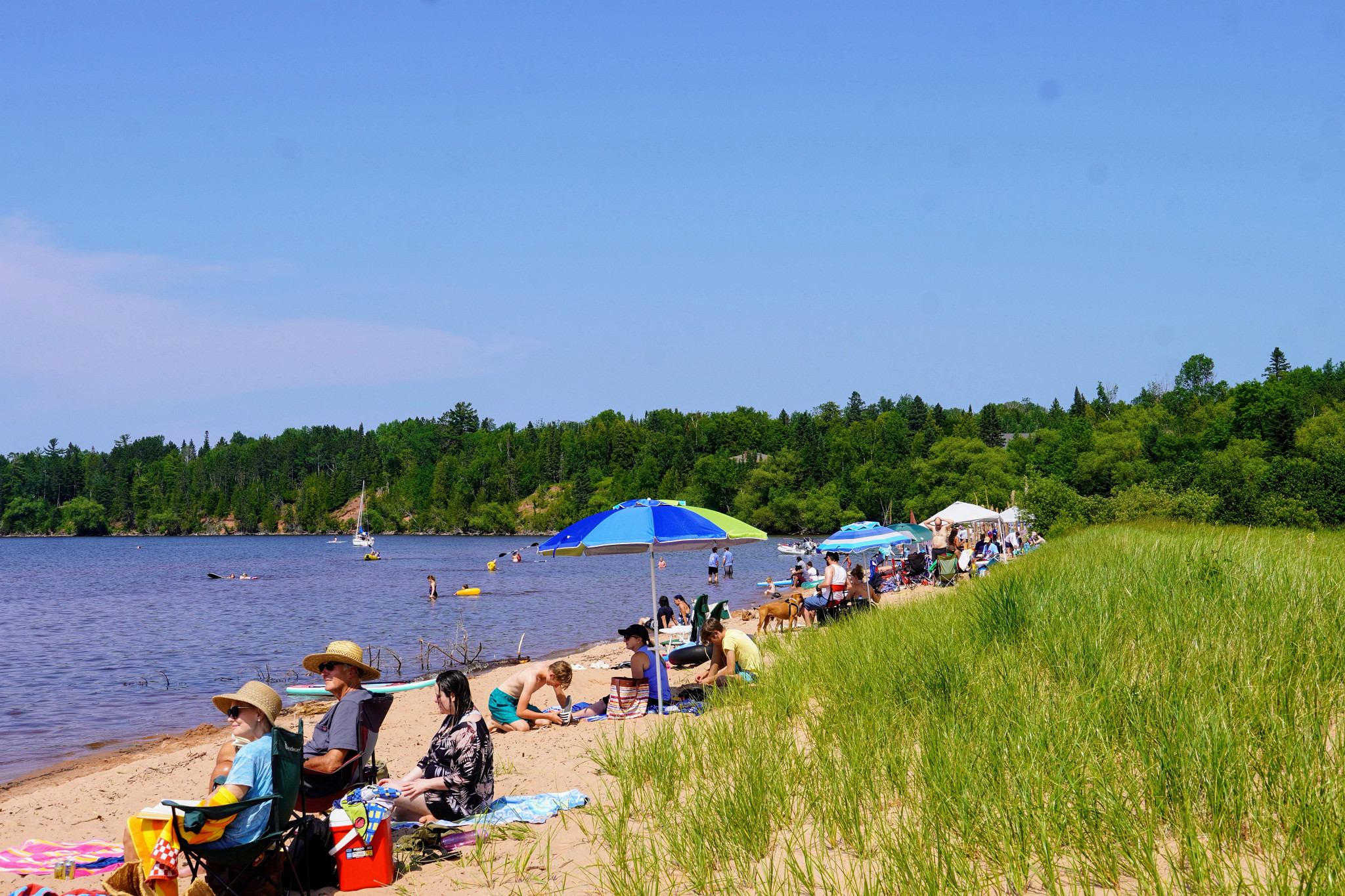 people sitting and swimming at a beach that is adjacent to a forested area