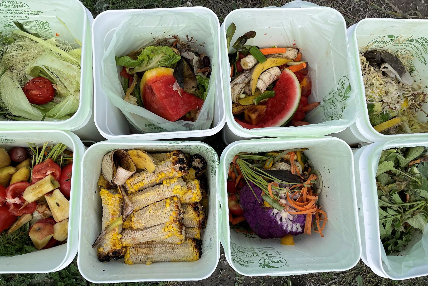 Top-down image of white buckets of sorted food waste and scraps for composting.