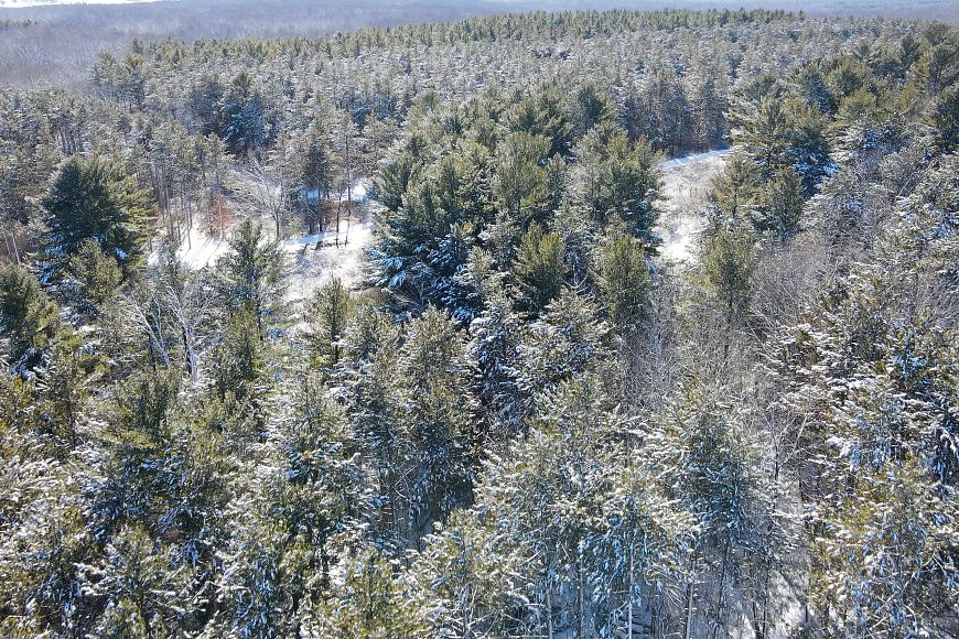 An aerial view of a dense forest with snow-covered trees under a clear sky.