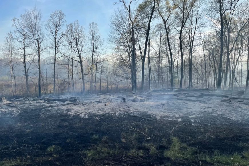 remnant smoke from the Warthog Fire in Juneau County in a wooded and grassy area.