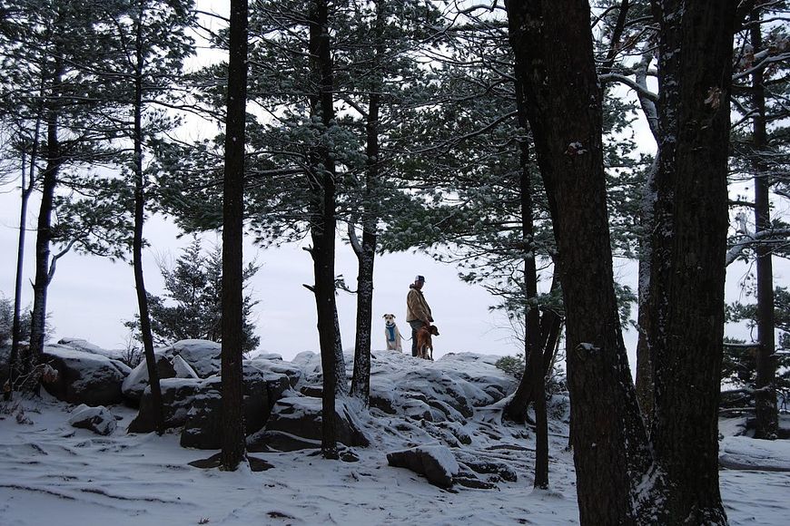 man hiking with two dogs in winter at Devil's Lake State Park