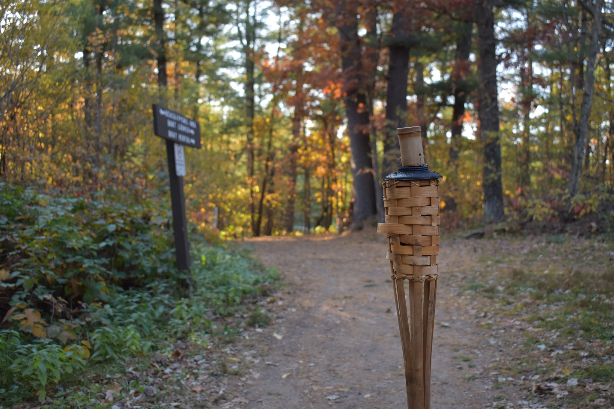 A peaceful walking path in a forest with vibrant autumn foliage. A wooden torch and a directional sign are visible at the forefront, enhancing the natural, serene setting.