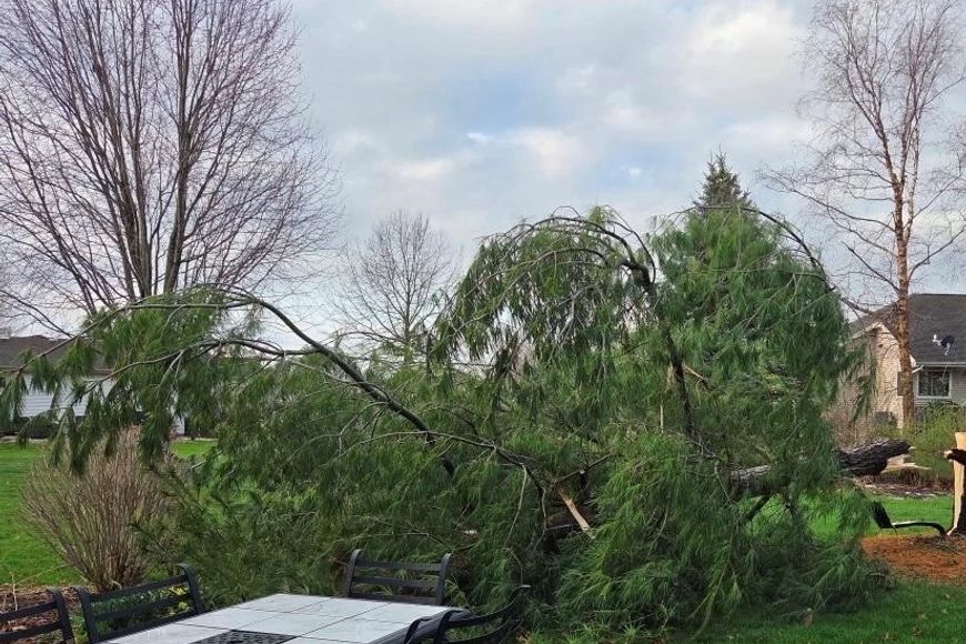 Debris From Recent Storms And Dry Forecast Increase Risk Of Wildfires ...